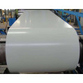 Prepainted Galvanized Steel in Coil, PPGI